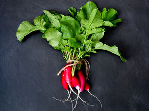 Bunch of red radishes with leafy green tops tied with twine on a dark background