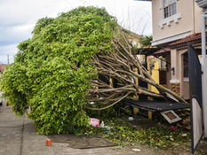 기후재난리포트12 ⑤ 괴물 태풍