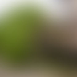 기후재난리포트12 ⑤ 괴물 태풍