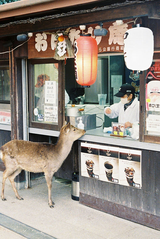 Image by Maxim Makarov