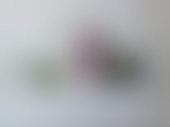 The True Cost Of Off-The-Shelf Software