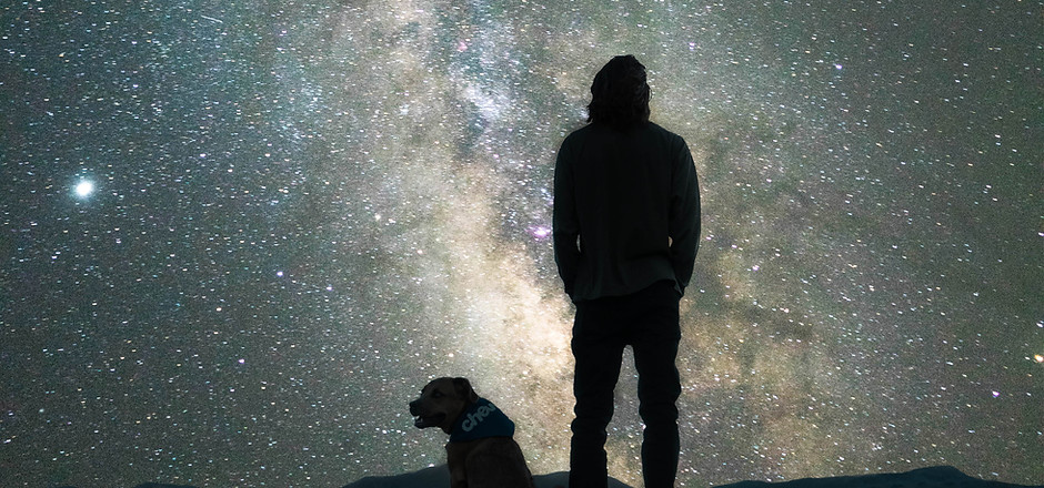 Image de Chewy