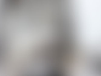 Papasula abbotti (Abbott's Booby)