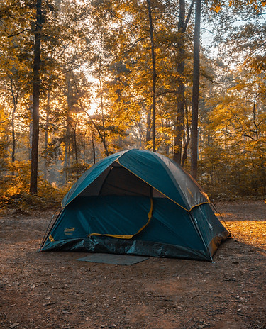 Image by Triston Dunn