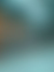 Reinventing warehouses – the hub of the logistics chain