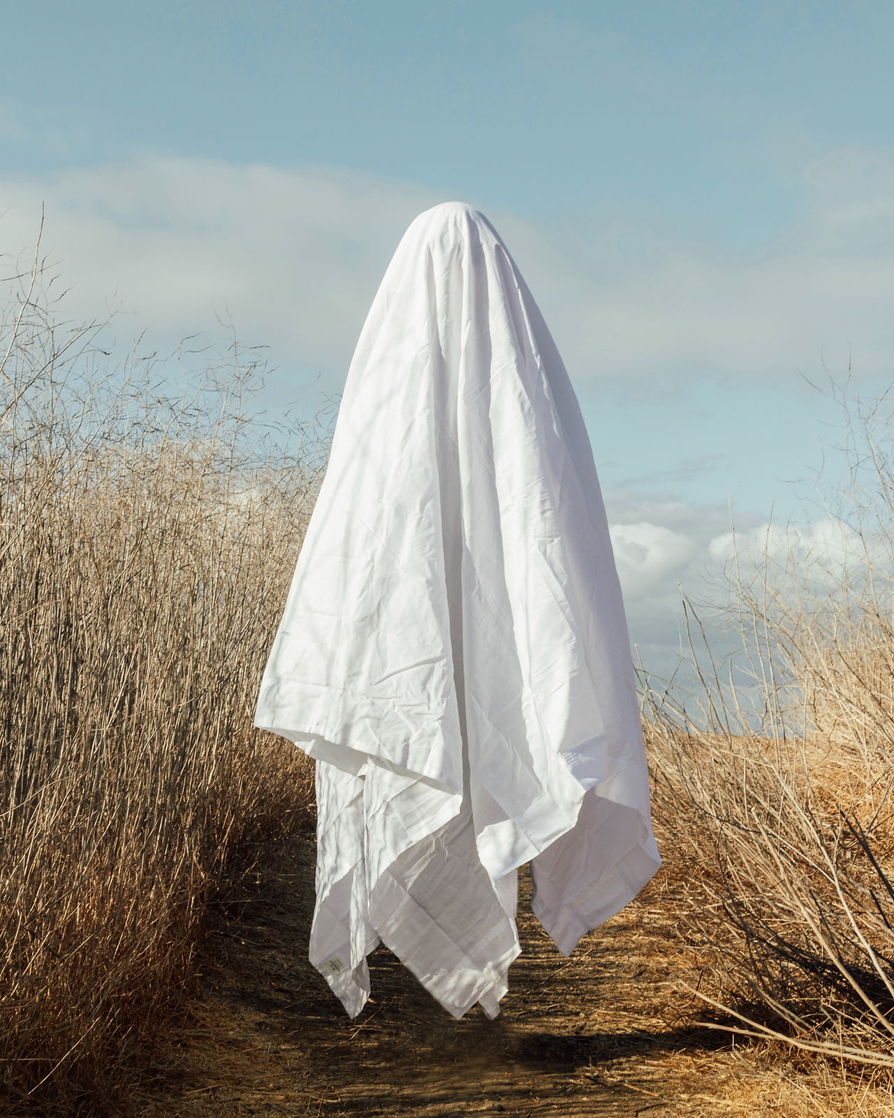 Image by Drew Tilk