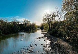 Image by yasaman hosseini