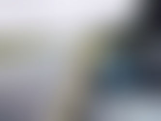 Navigating the Novice License: From L to N, Your Essential Guide