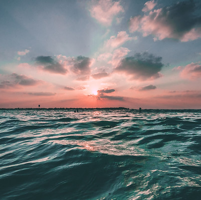 Image by Joseph Barrientos