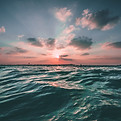 Image by Joseph Barrientos