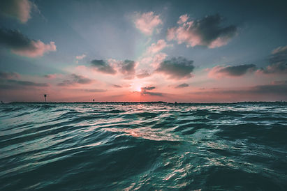 Image by Joseph Barrientos