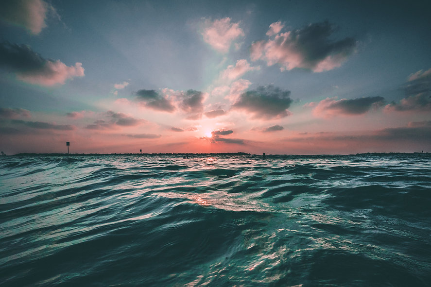 Image by Joseph Barrientos