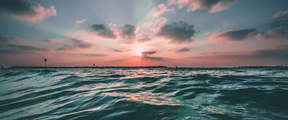 Image by Joseph Barrientos