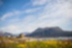Greenland flowers, house and mountain
