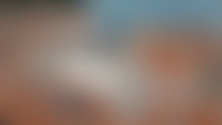 Slovenian Presidency debriefs EP committees on priorities