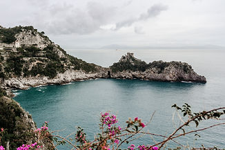 Image by Ryan Ancill