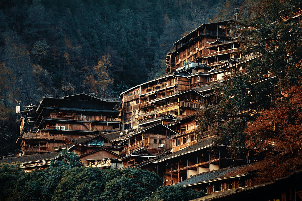 Image by ZHENG XIN