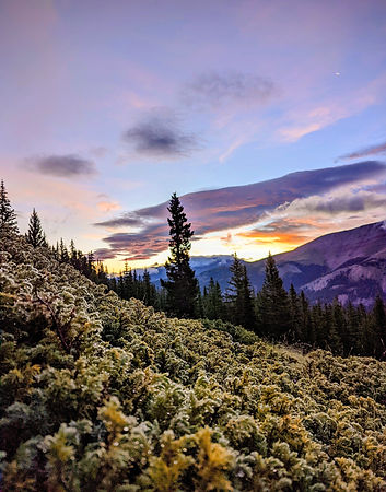 Image by Andrew