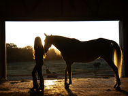 The Psychology of Equestrian Grit: Why Riding Builds Resilience After 35