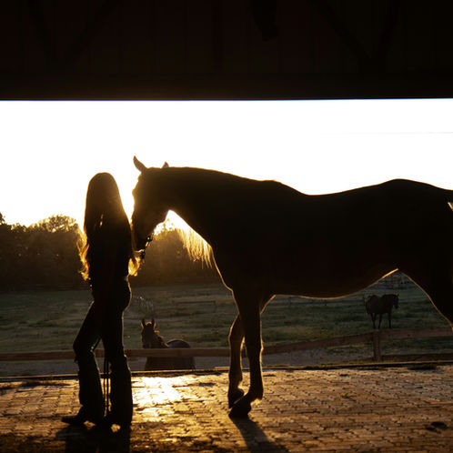 The Psychology of Equestrian Grit: Why Riding Builds Resilience After 35