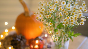 HARVEST FESTIVAL WORSHIP SERVICE October 4th 11AM  -  Celebration! 