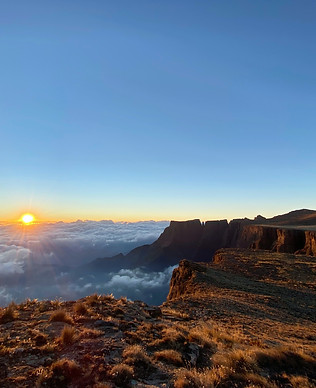 Image by Jandré van der Walt