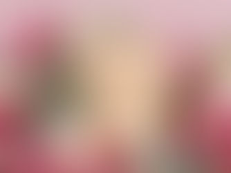 Pour cette année 2024