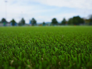 Artificial Turf Installation Cost: What to Expect