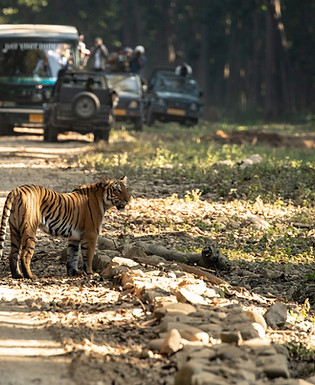 Image by UPASANA SAIGAL
