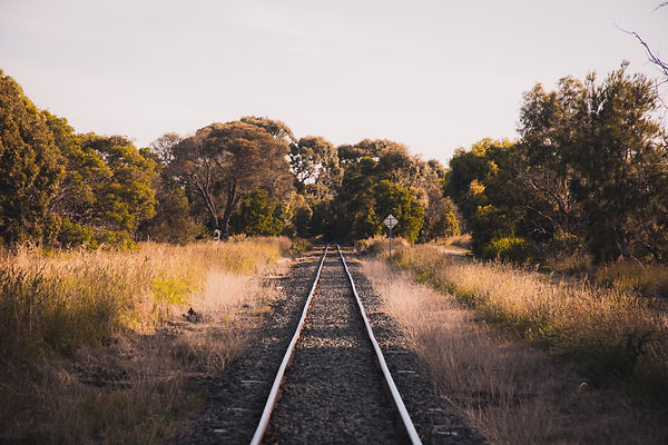 Image by Pat Whelen