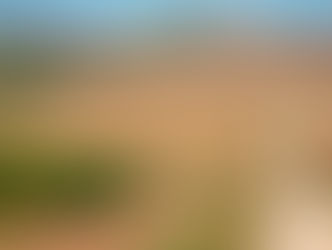 An Hour in the Dentist’s Chair