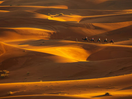 How to Choose the Best Desert Excursion in Morocco: The 2026 Real Guide