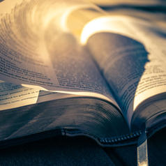 Seeking God Through His Word