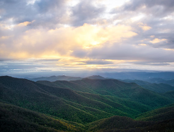 Image by Clark Wilson