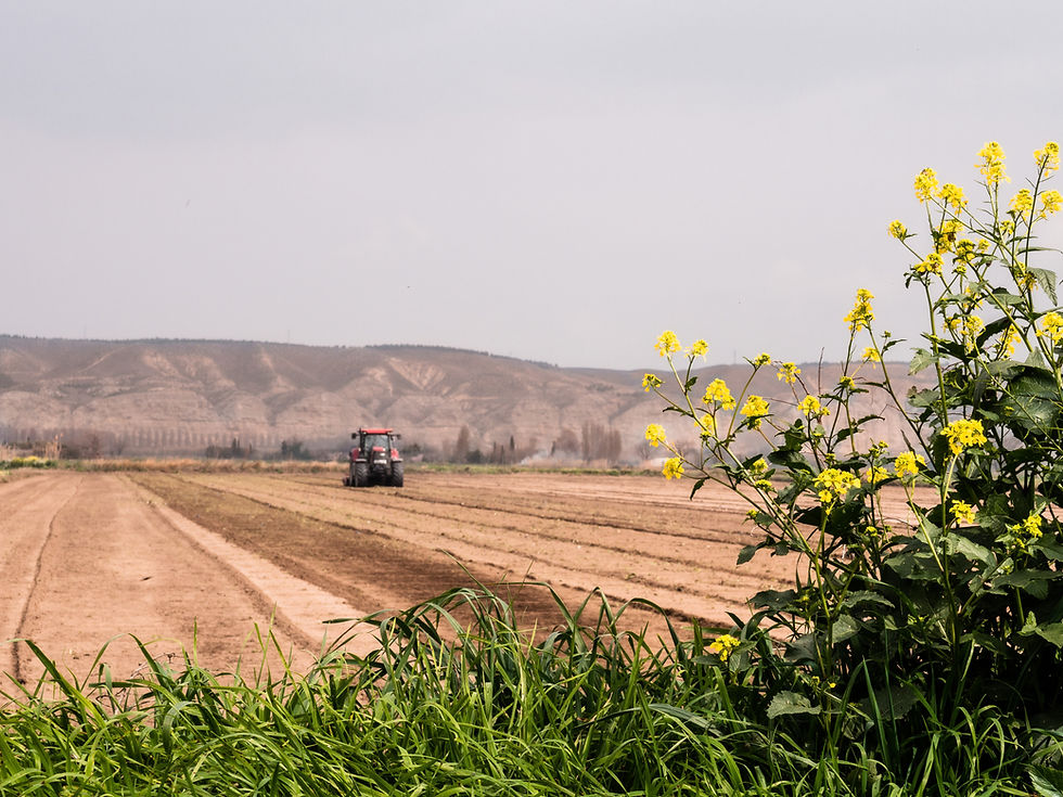 Agriculture executive search consultants