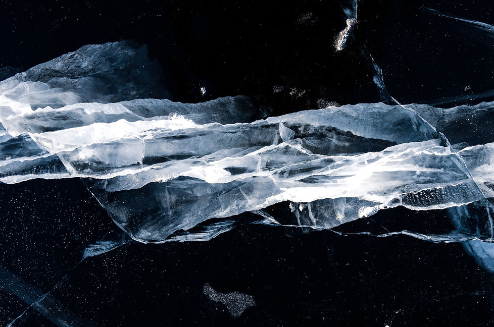 Image by Daniil Silantev