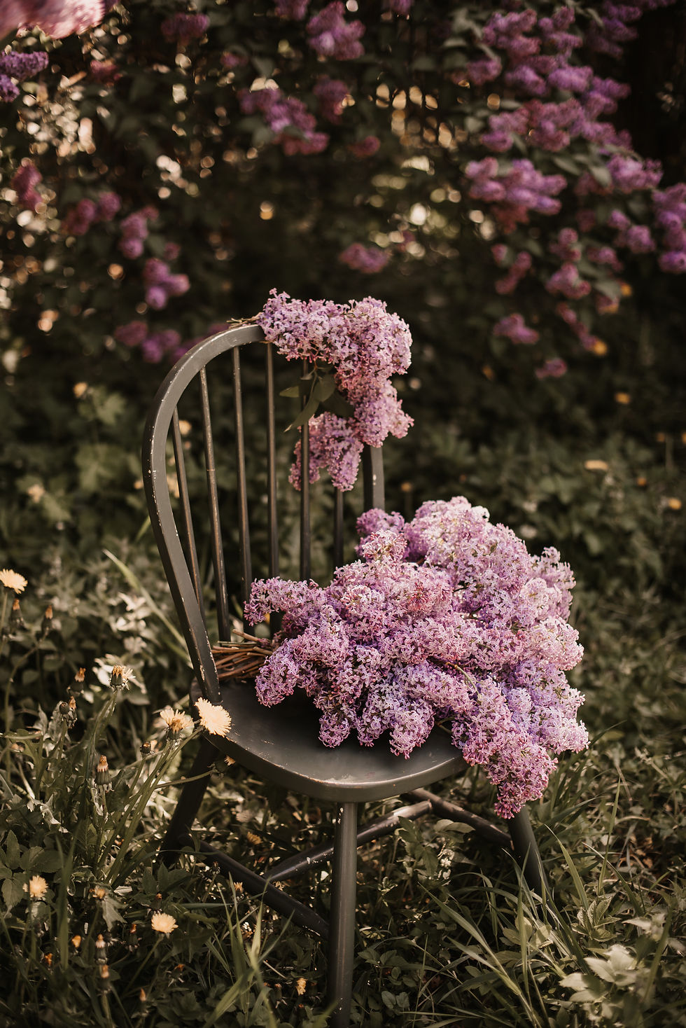 Stuhl auf einer Wiese mit Blumen bedeckt