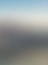 Tailor Made Concierge: Su Puerta de Entrada al Lujo en Marbella