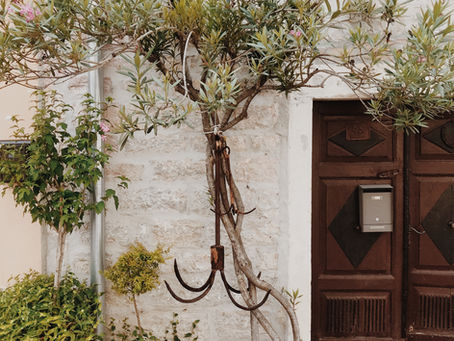 Week 3 Reading January 13 - January 19