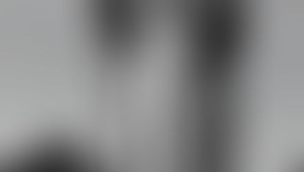 The Good Shepherd and the Wolf