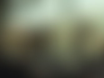 Mailing Lists That Convert