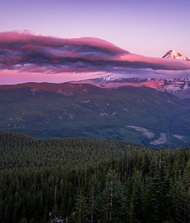 Image de Harrison Steen