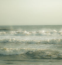 Image by CARTIST SARVAM