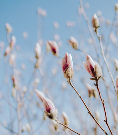 Image by Kelly Sikkema