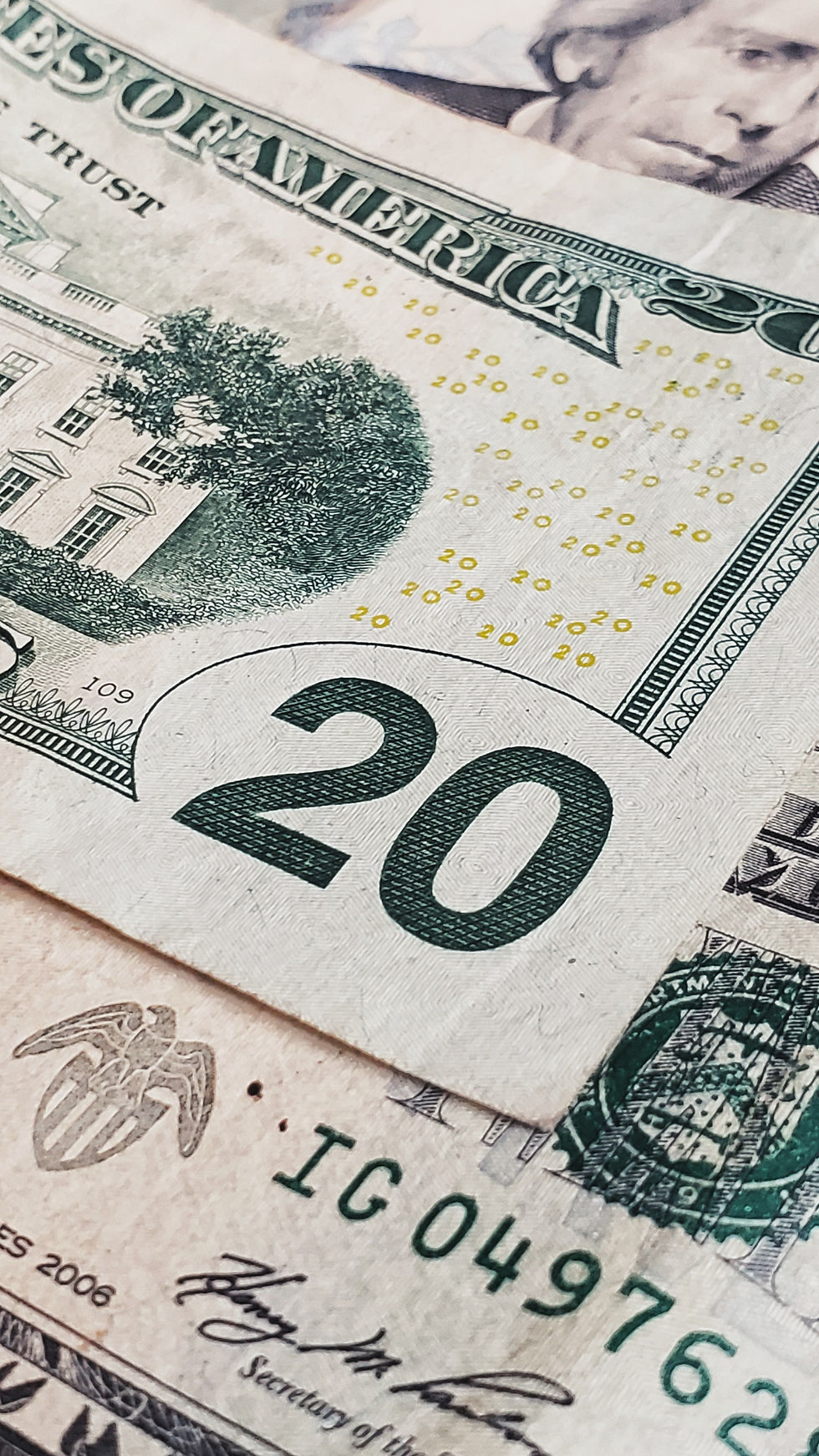 Image by Jorge Salvador