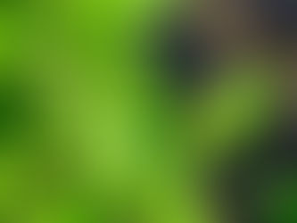 Propósitos para 2025: Uma Jornada Inesquecível pela Itália!