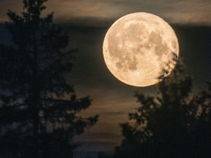 2026 Lunar & Astro Dates: Tasmania