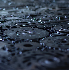 Image de Elena Mozhvilo