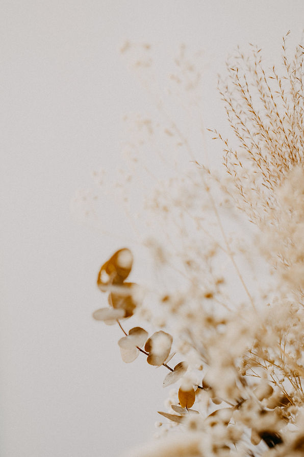 Image by Annie Spratt