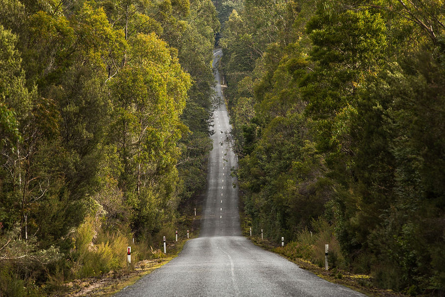 Image by Matt Palmer